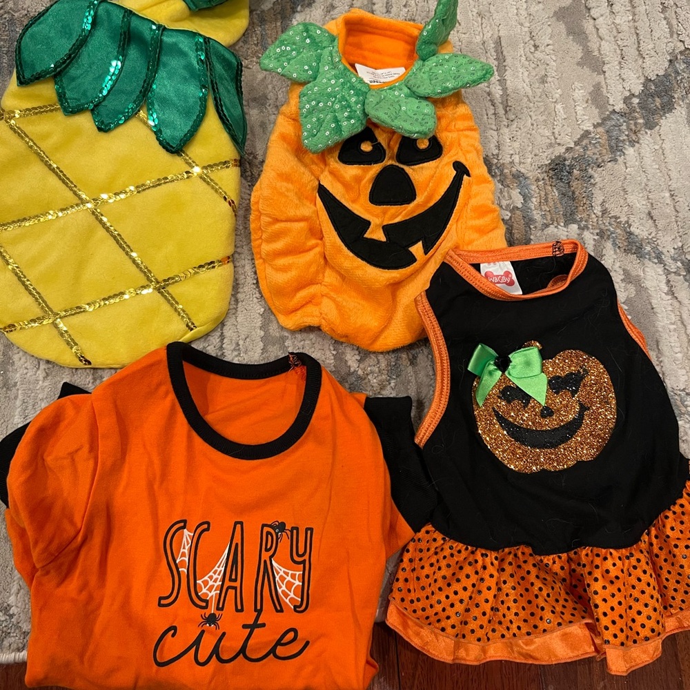 XS Halloween dog costumes